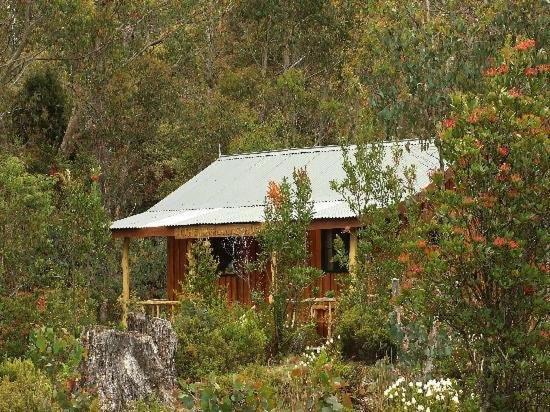 Cradle Highlander * Cradle Mountain