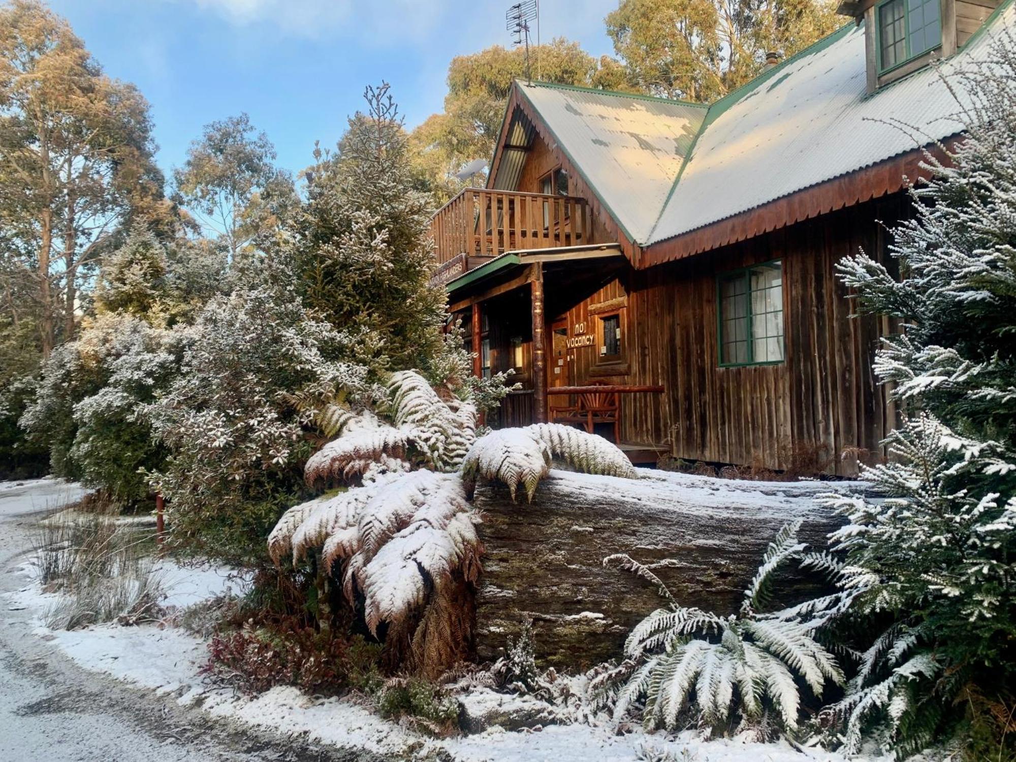 Cradle Highlander * Cradle Mountain